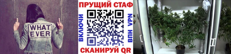 Купить закладку Арсеньев Марихуана  APVP  МЕФ  АМФ  Cocaine 