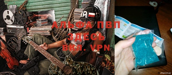 Альфа ПВП Аркадак