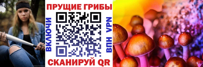 Галлюциногенные грибы GOLDEN TEACHER blacksprut ссылка Арсеньев